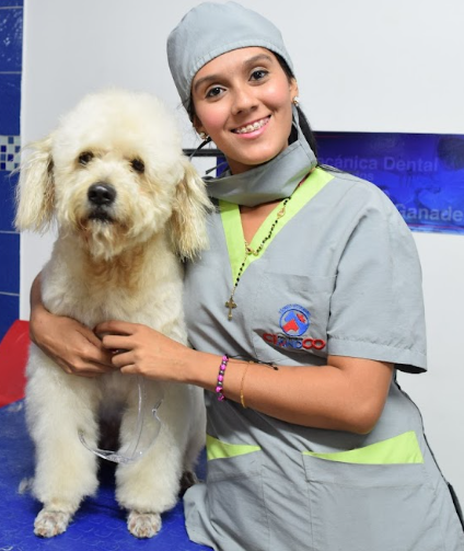 grooming-canino